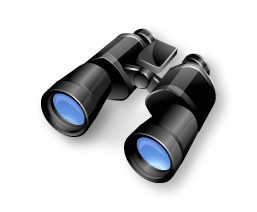 Wedding Planner Jackson Tennessee